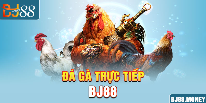 Đá gà trực tiếp tại BJ88